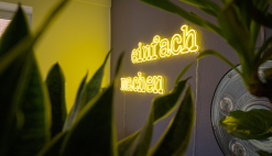 Gentner sucht Werkstudent/in